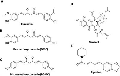 A scientifically validated combination of garcinol, curcuminoids, and piperine for mild to moderate nonalcoholic steatohepatitis patients—results from a randomized, double-blind, placebo-controlled study